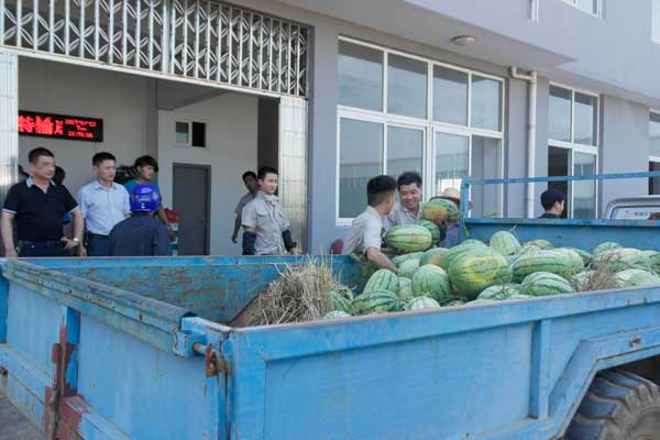 丽水政府送清凉正在搬运西瓜